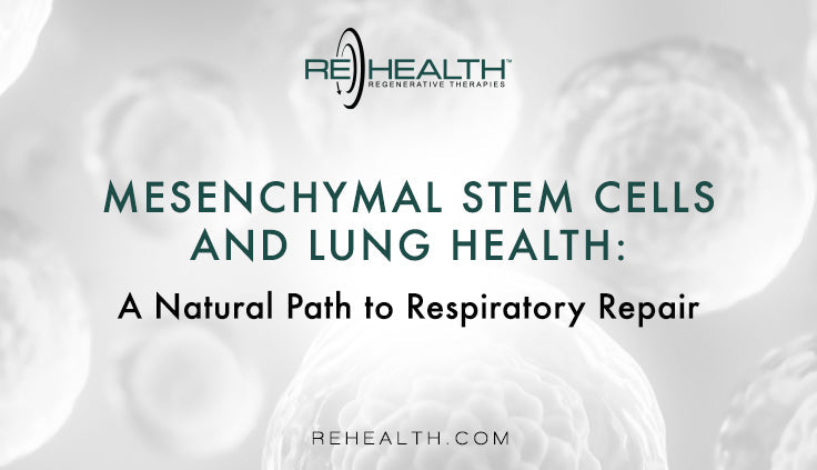 Mesenchymal Stem Cells and Lung Health: A Natural Path to Respiratory Repair